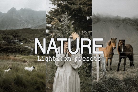 Download 9 Nature Lightroom Mobile Presets - Lightroom mobile presets Collection
