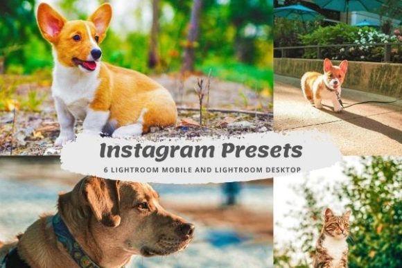 Download Influencer Lightroom Instagram Presets - Instagram presets Collection